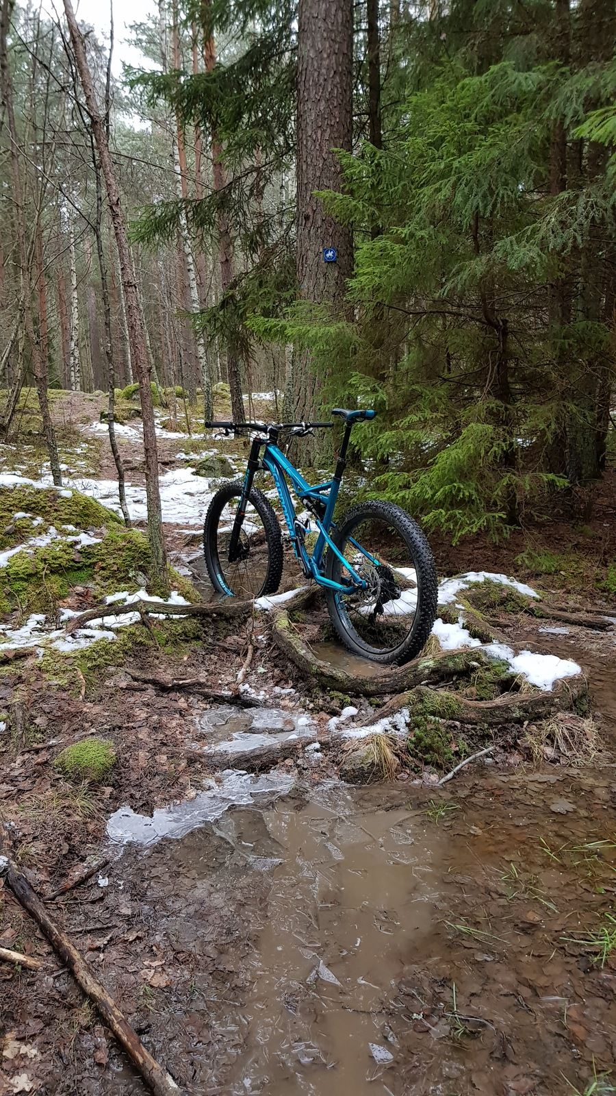 20171225_110650.jpg
