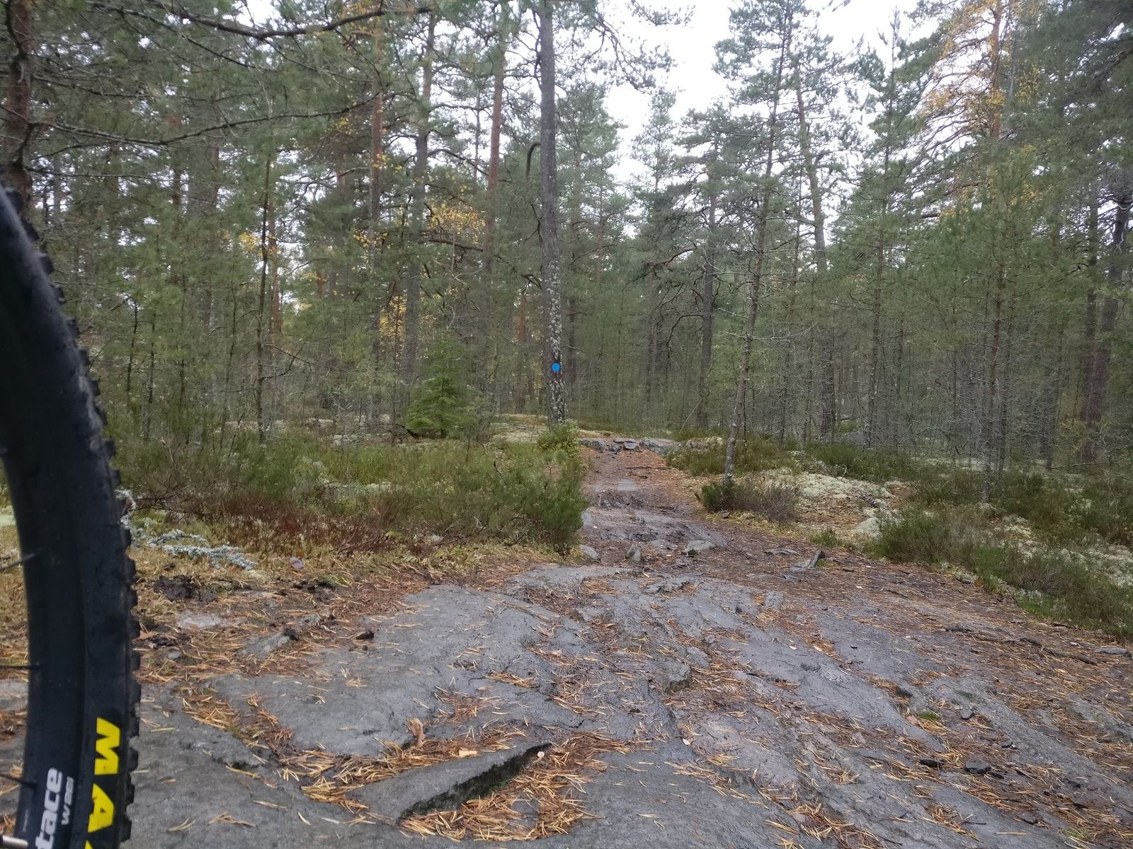 2018-10-28-18-25-42.jpg