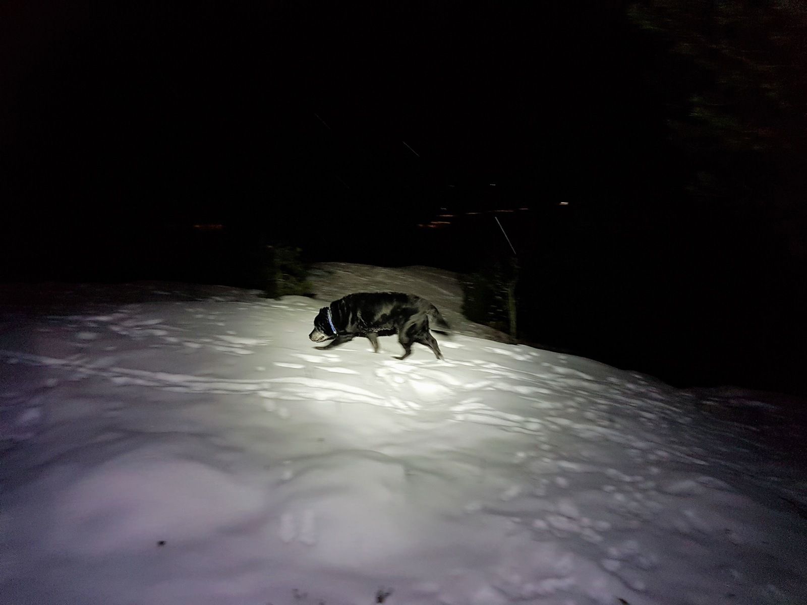 20180208_195056.jpg