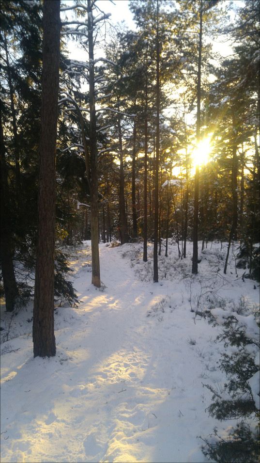 20180226_165848.jpg