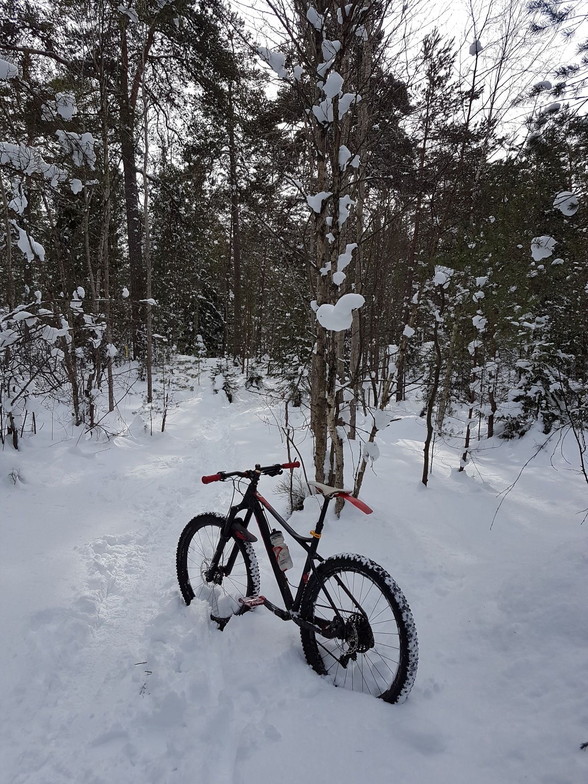 20180304_120415.jpg