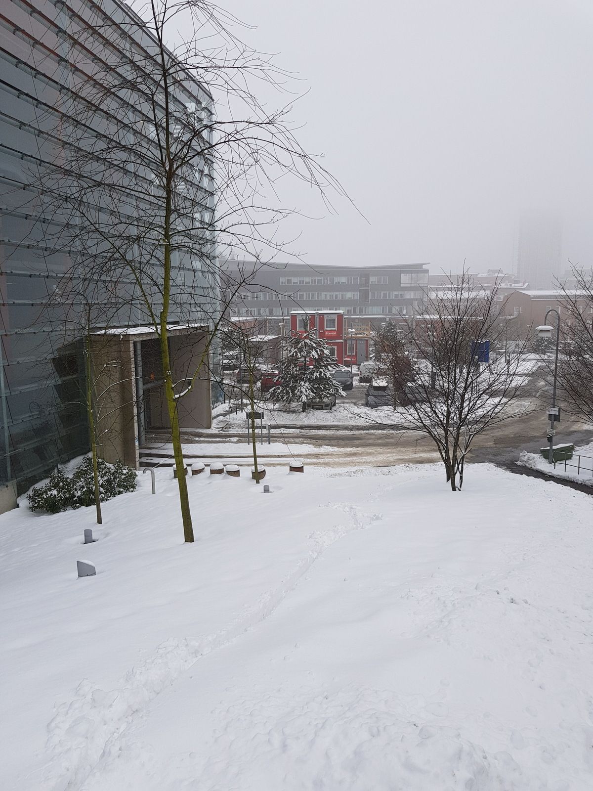 20180306_121641.jpg