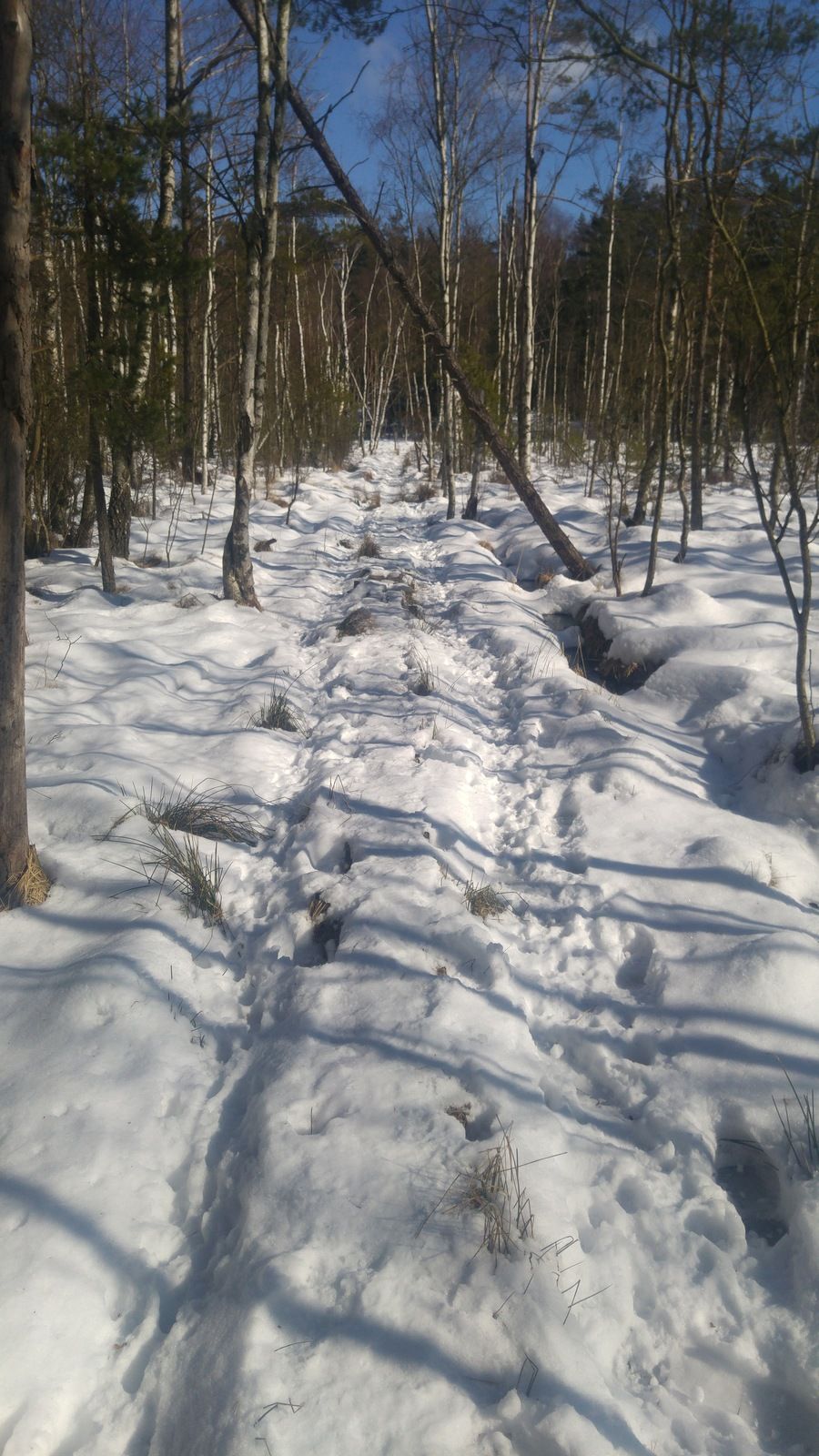 20180317_121952.jpg