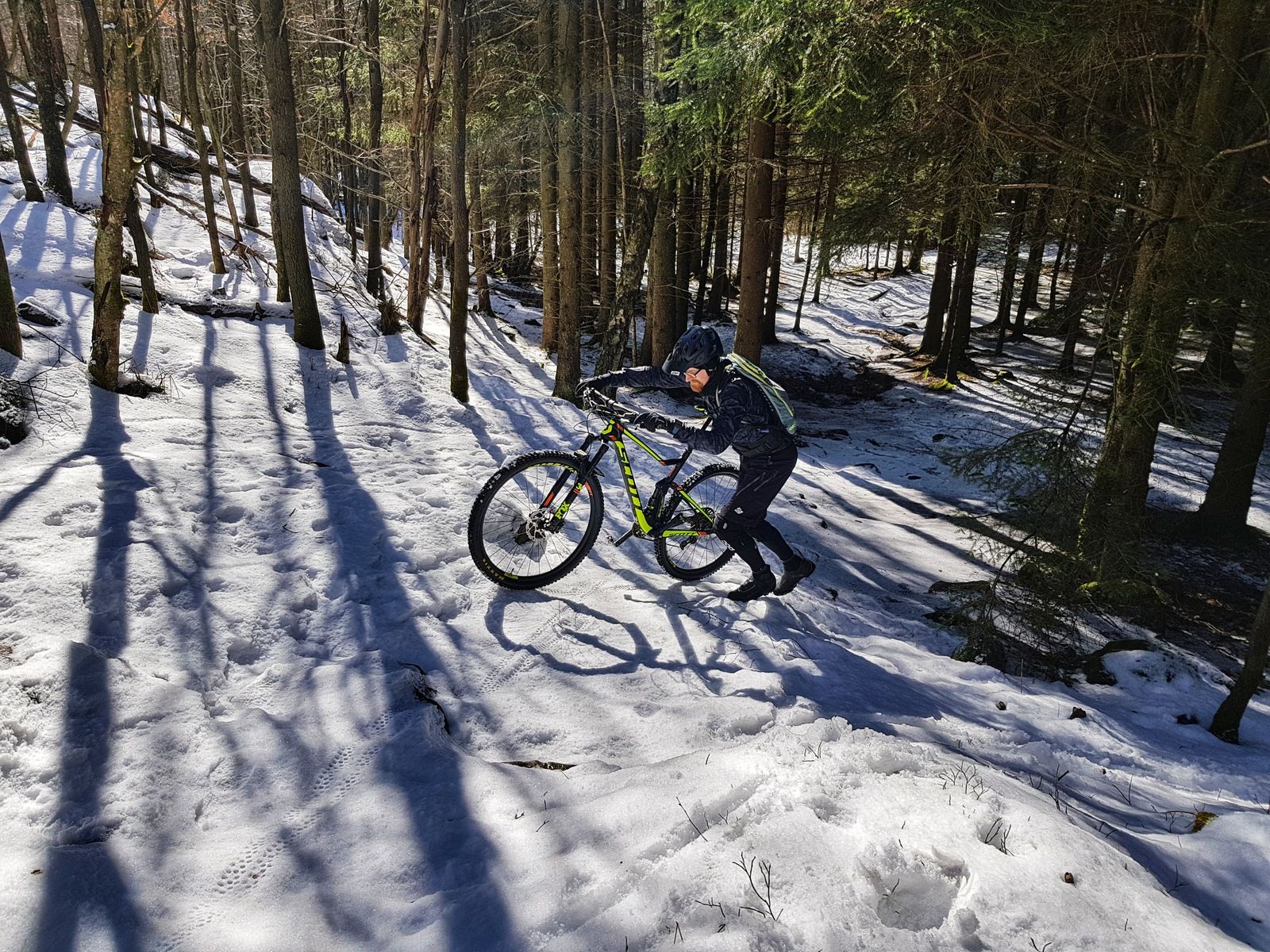 20180320_122818-01.jpeg