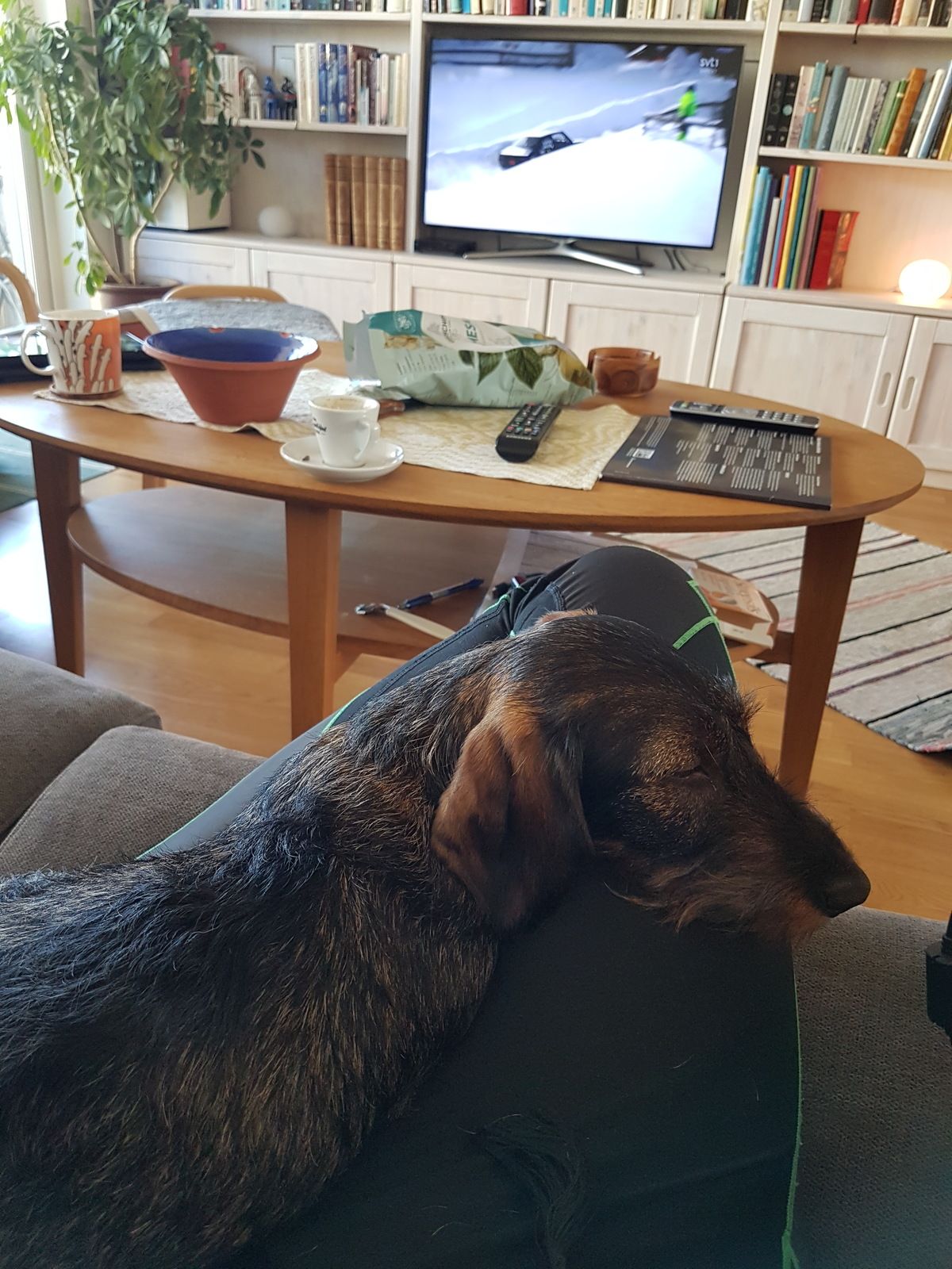20180325_134048.jpg
