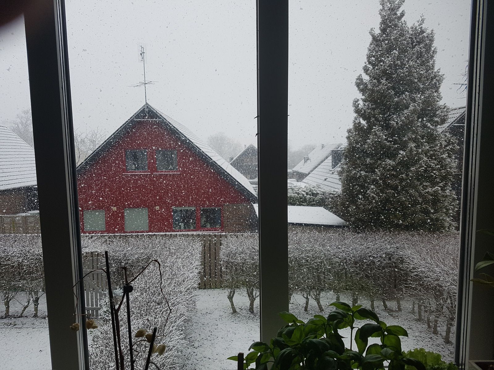 20180327_170923.jpg