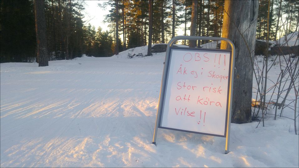 20180329_191639.jpg