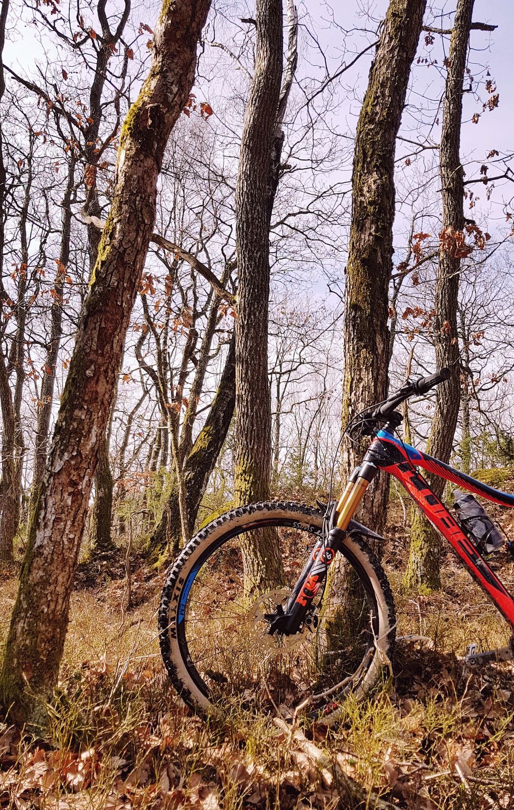 20180401_134324.jpg