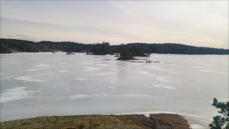 20180401_145727.jpg