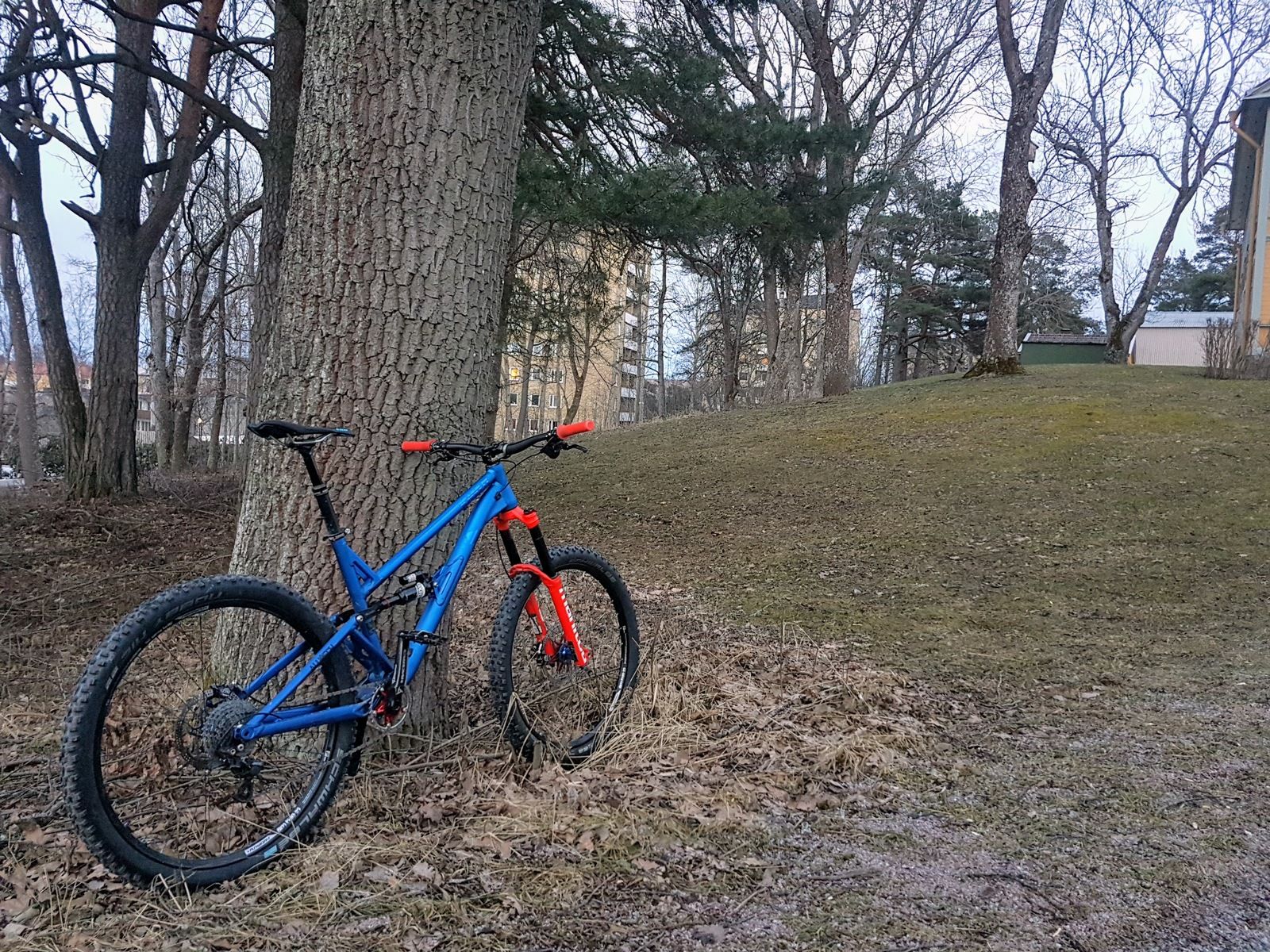20180407_194354.jpg