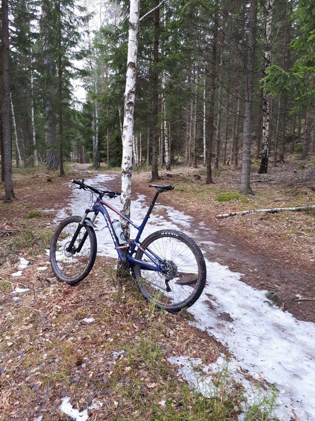 20180408_120117.jpg