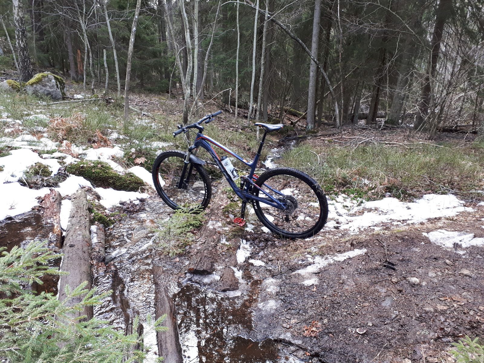 20180408_122703.jpg