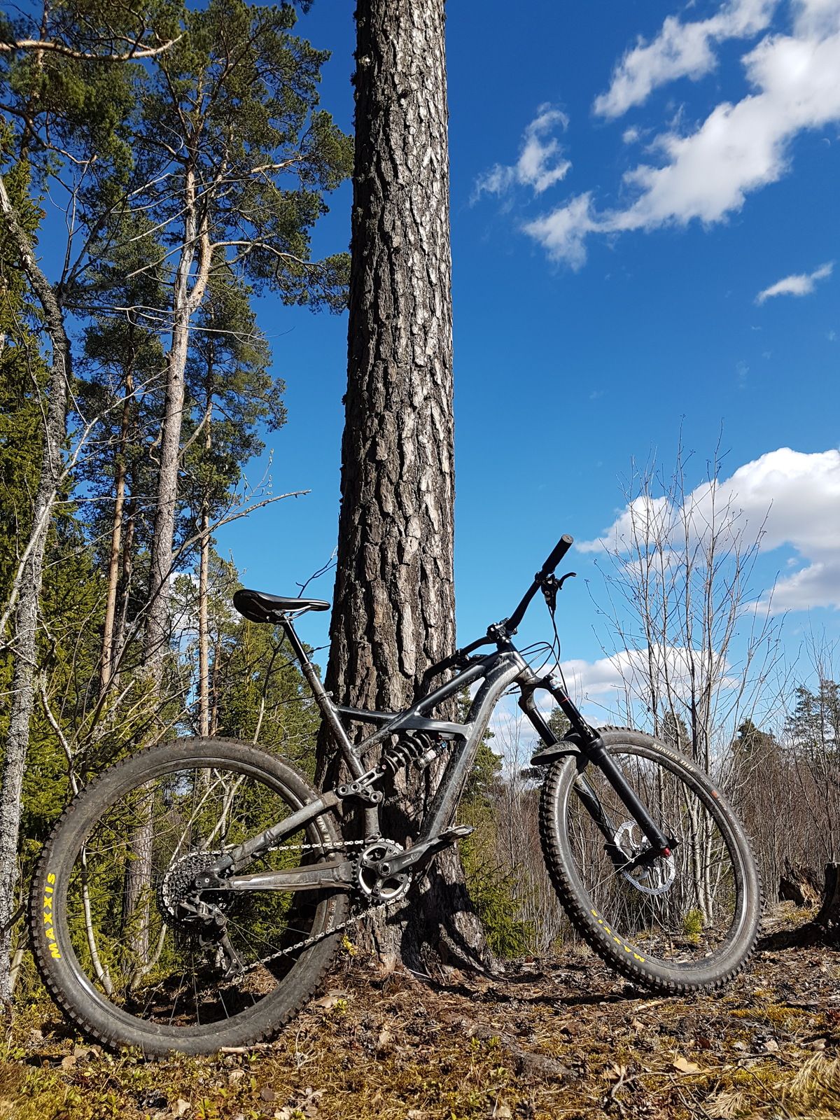 20180421_143740.jpg