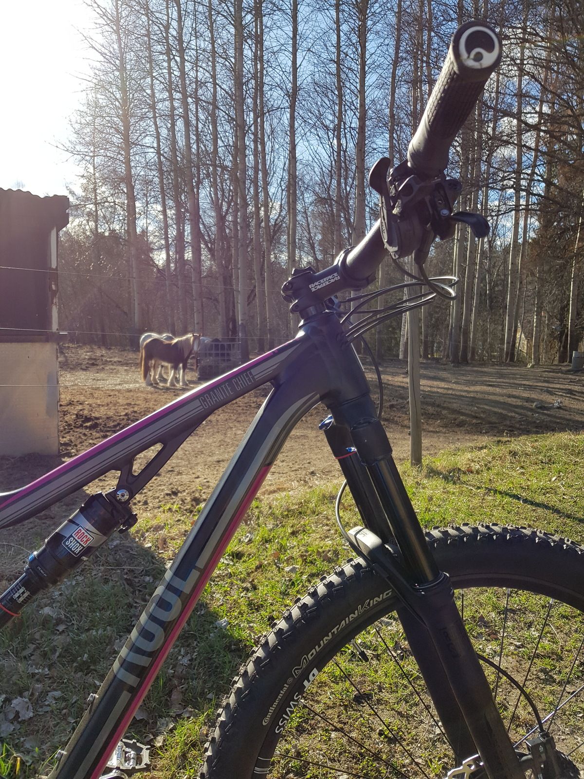 20180421_171258.jpg