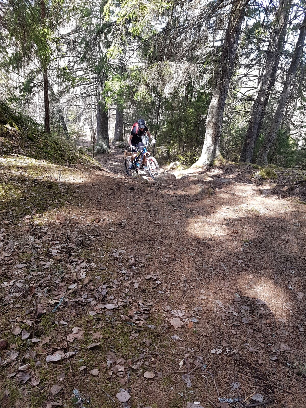 20180422_115713.jpg