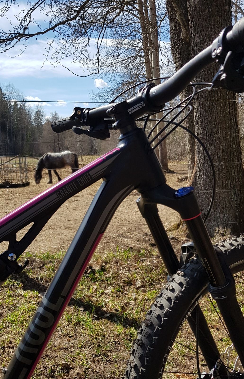 20180422_162047.jpg
