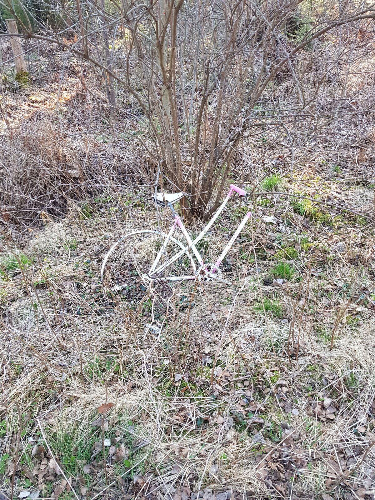 20180425_181024.jpg