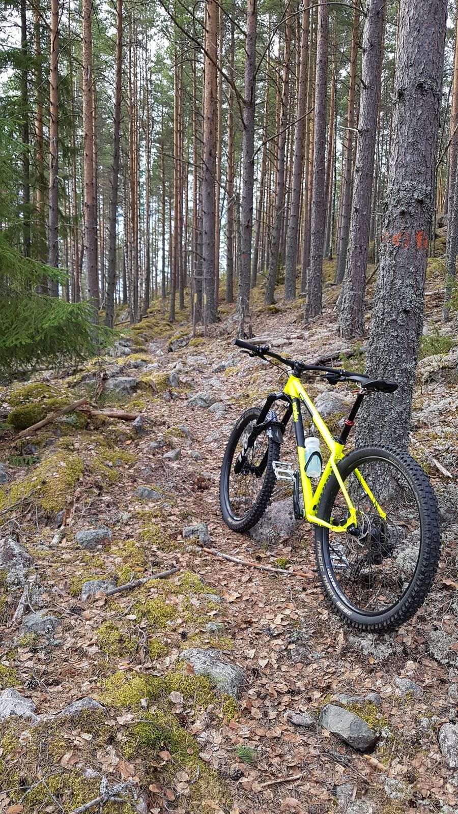 20180425_184413.jpg