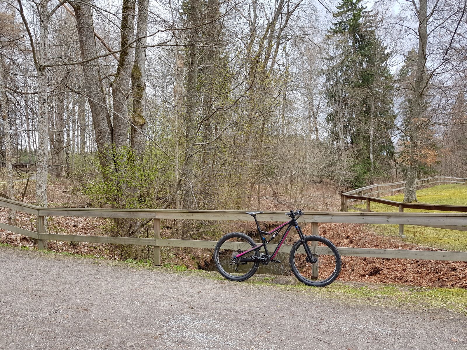 20180428_143402.jpg