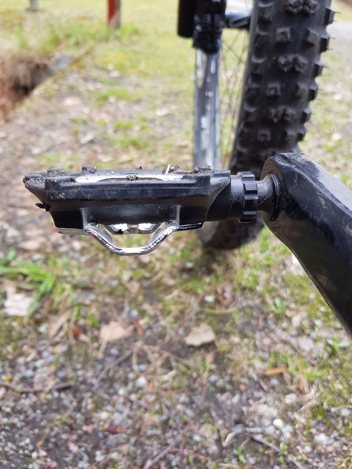 20180428_143522.jpg