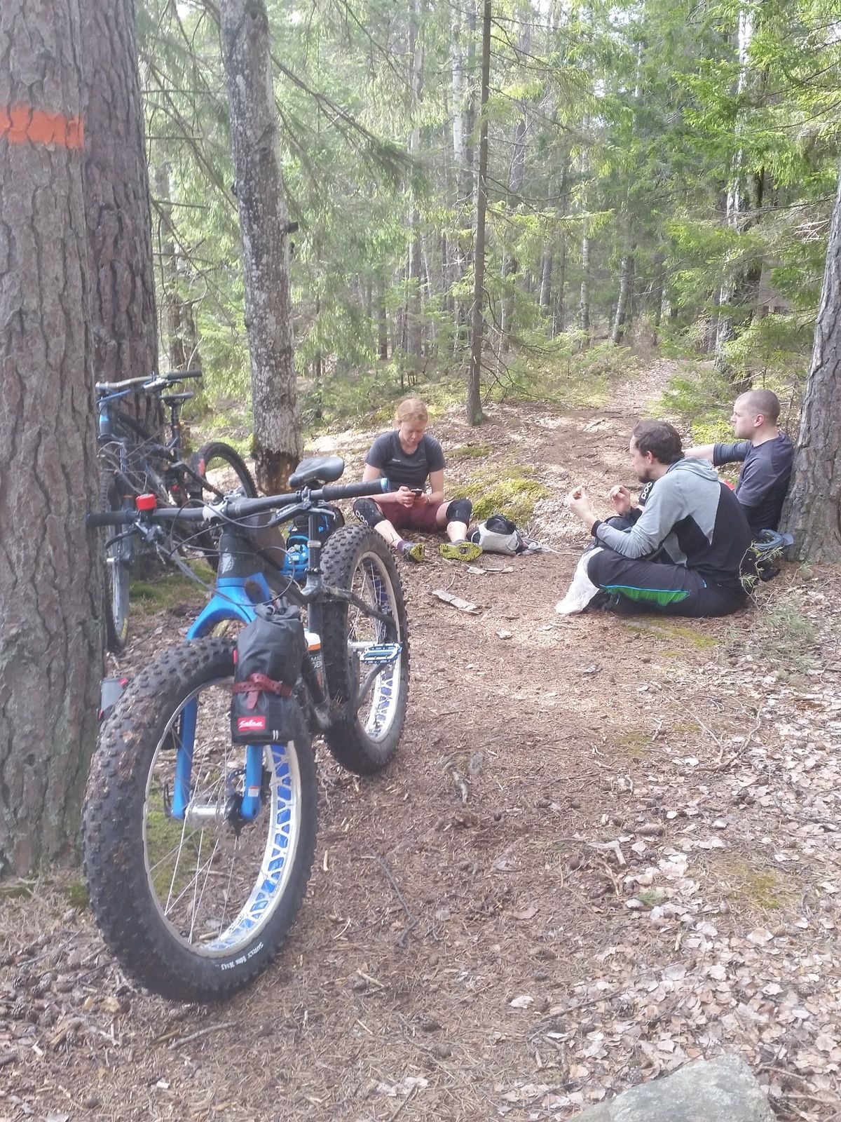 20180430_153647.jpg
