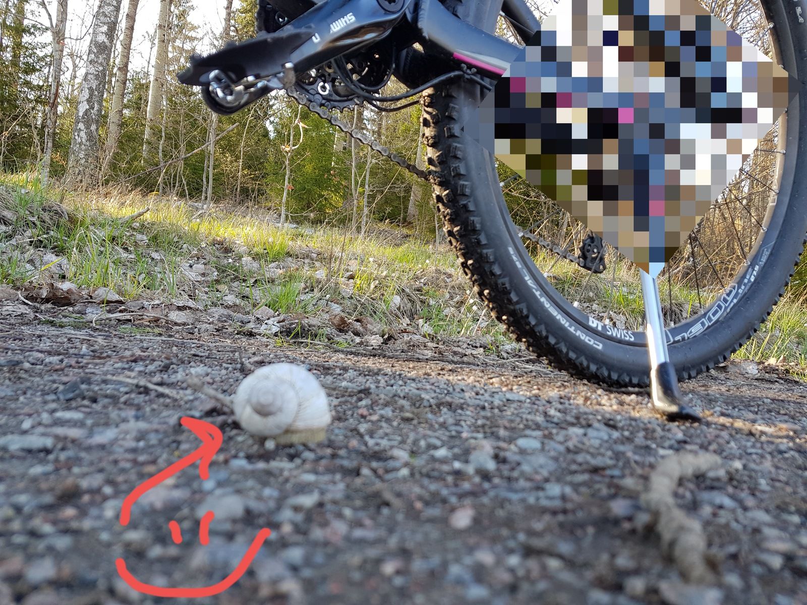 20180502_195013.jpg