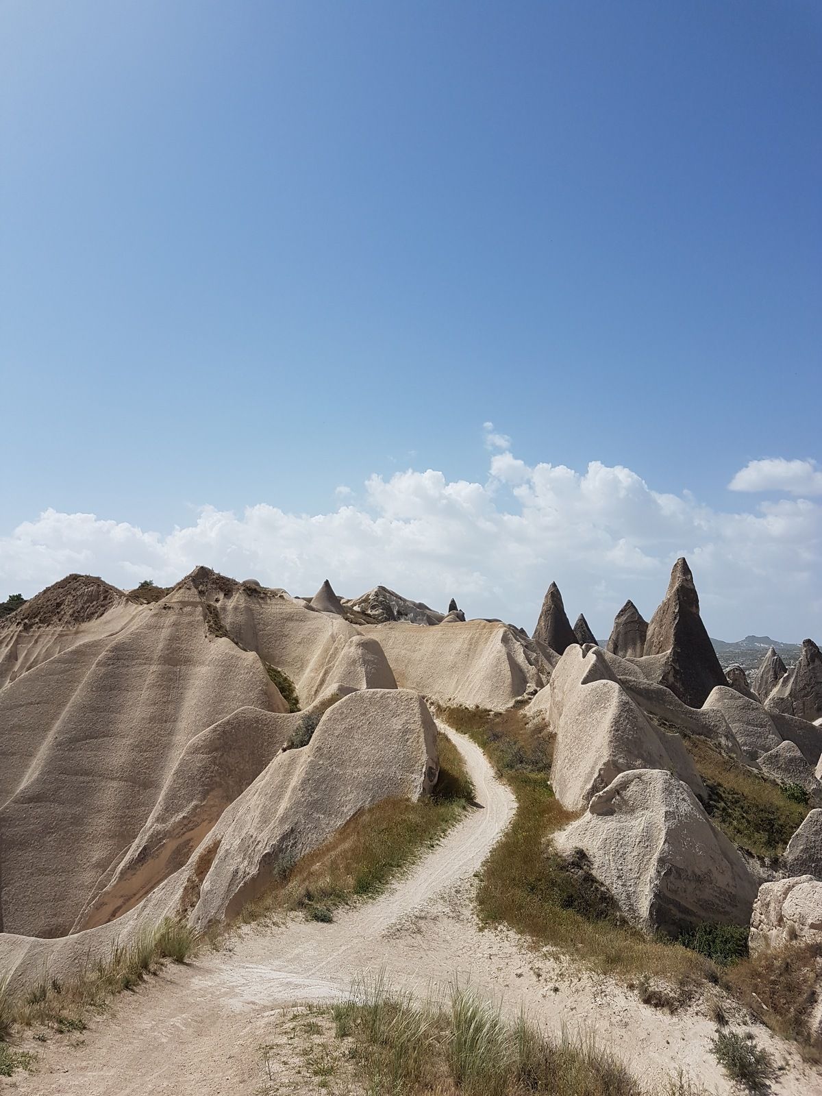 20180504_104848.jpg