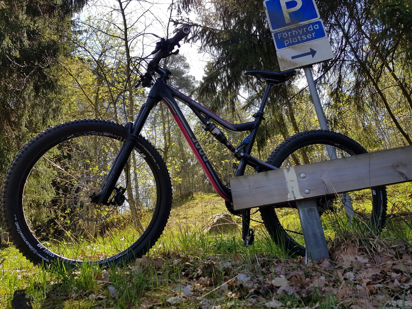 20180506_124107.jpg