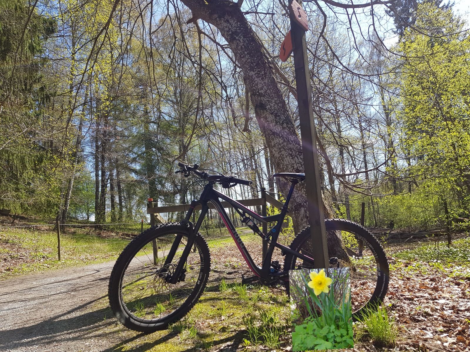 20180506_190747.jpg