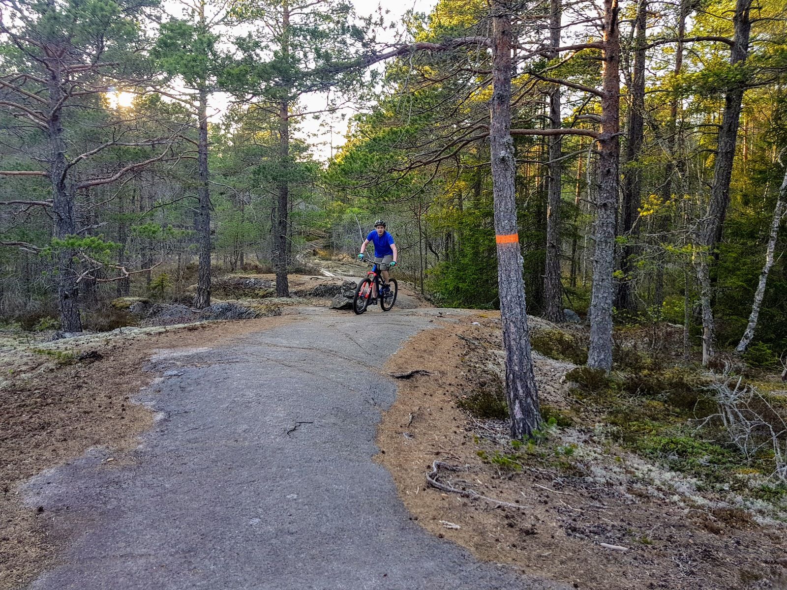20180507_192726.jpg