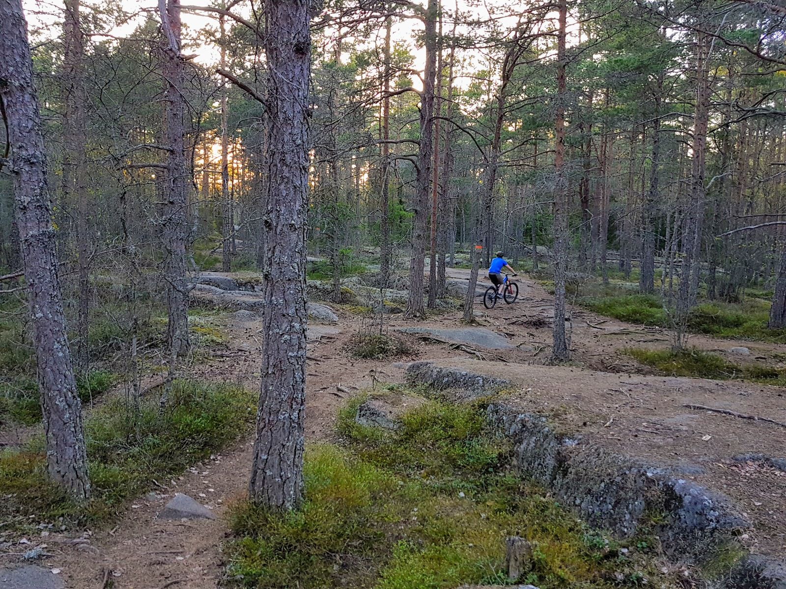 20180507_200739.jpg