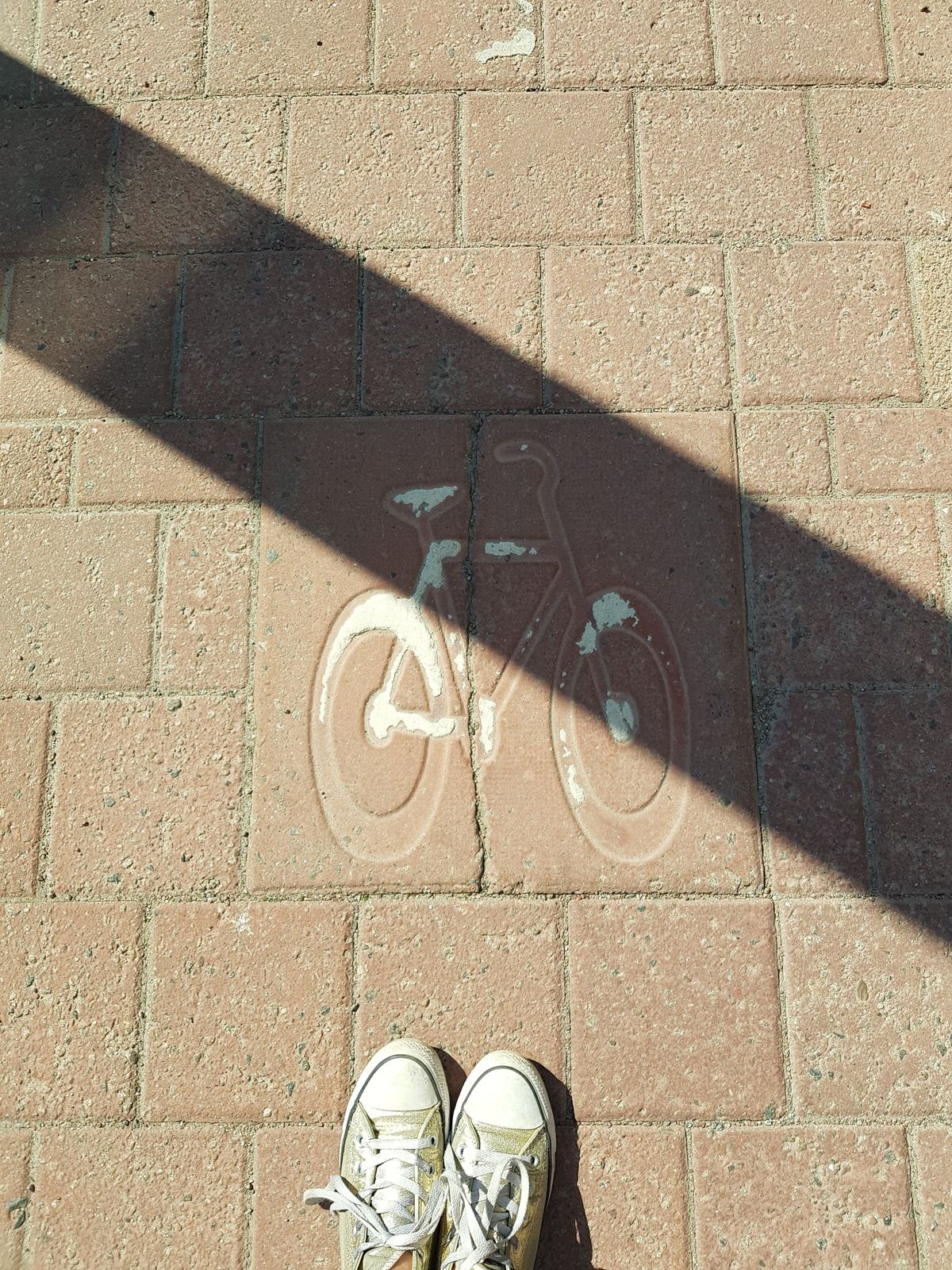 20180510_110034.jpg