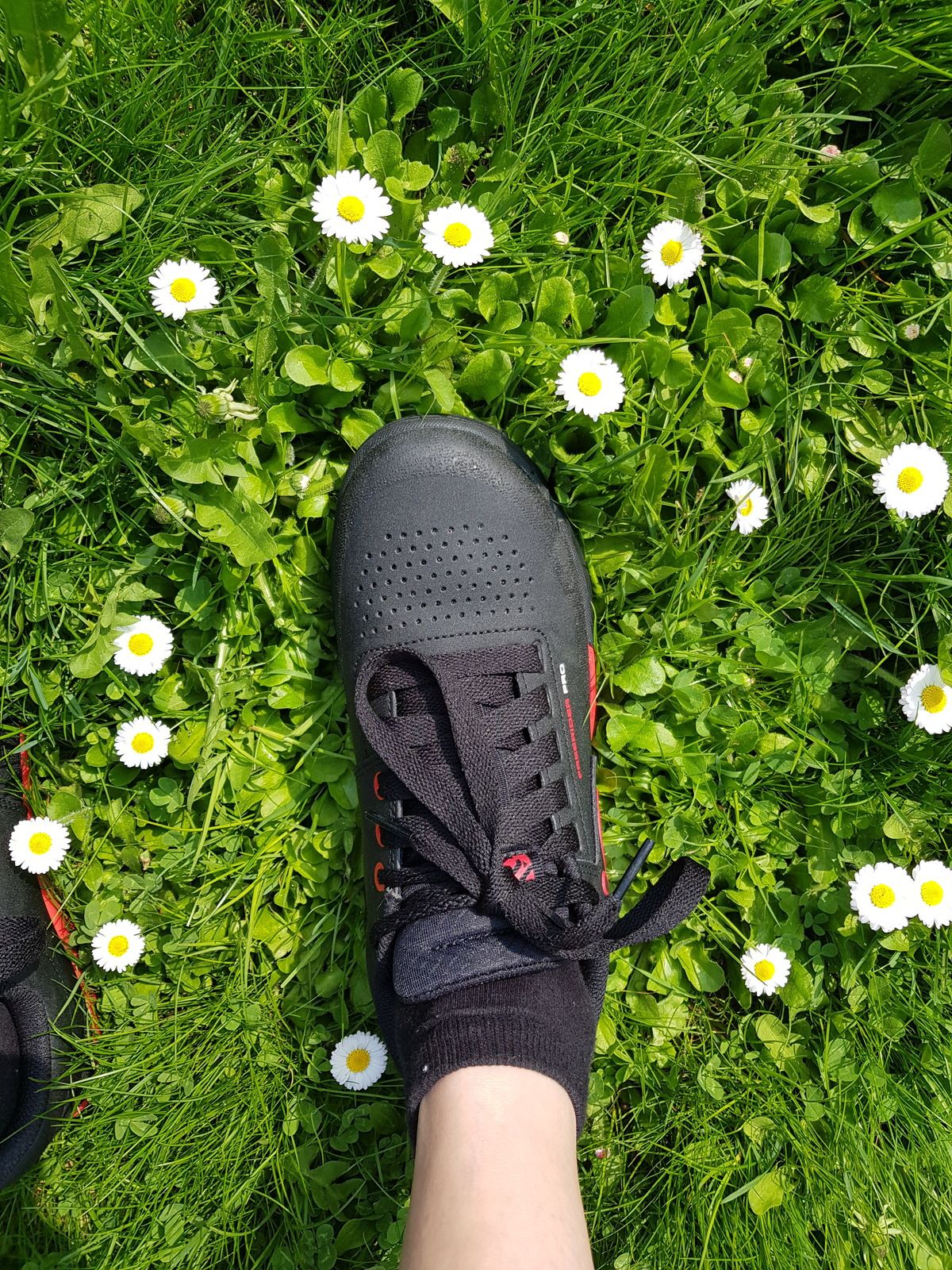 20180513_112456.jpg