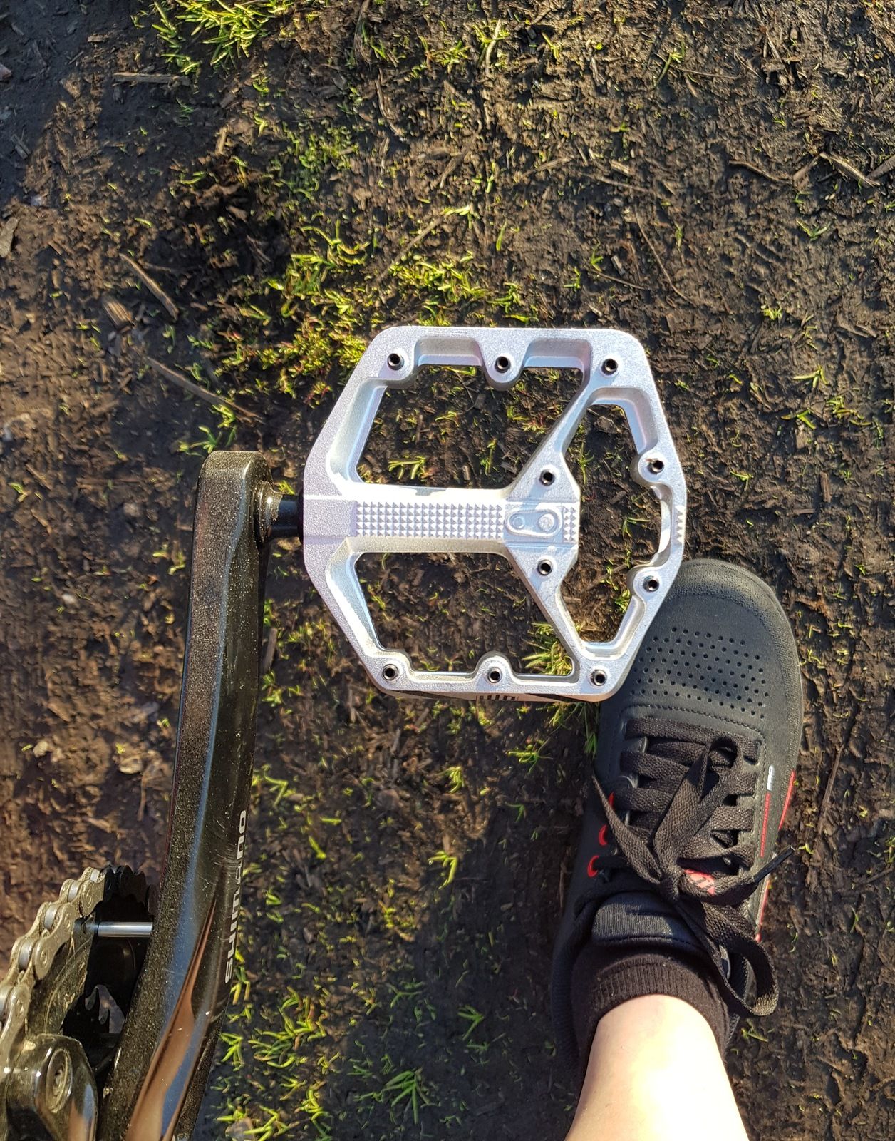 20180513_204038.jpg