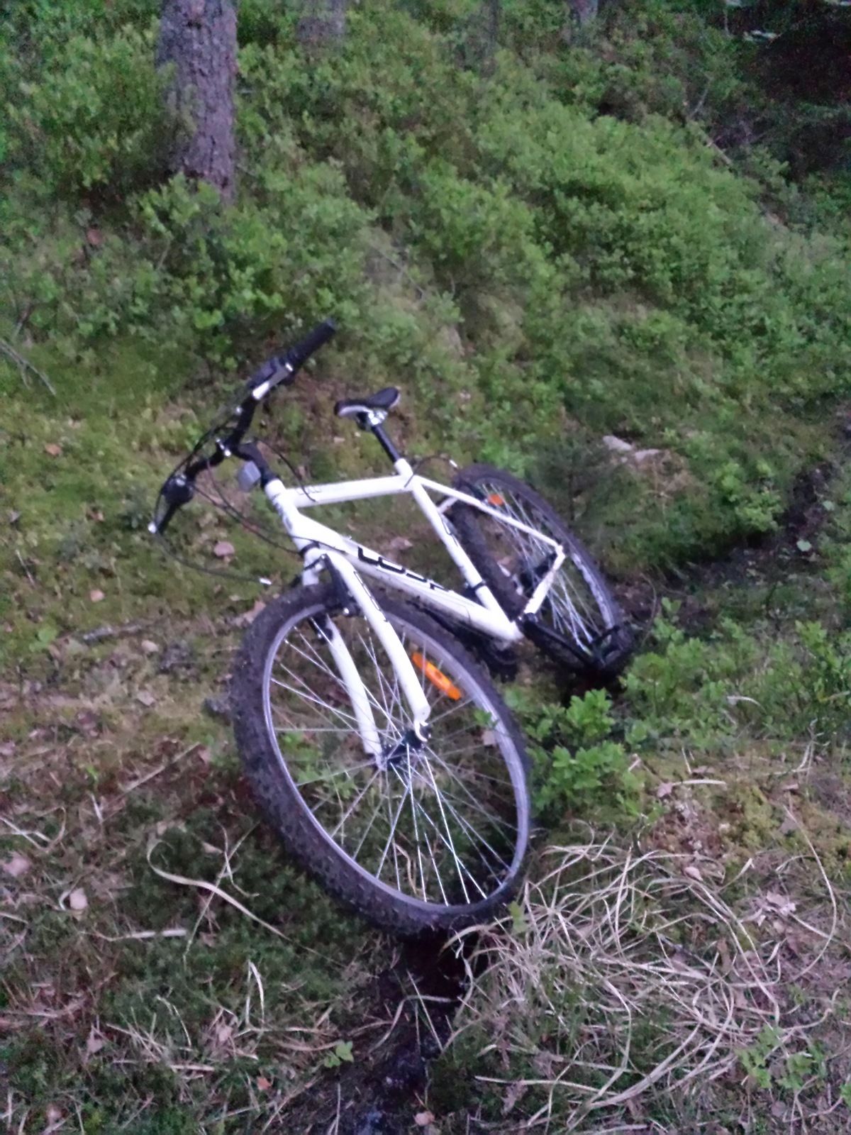 20180518_214242.jpg