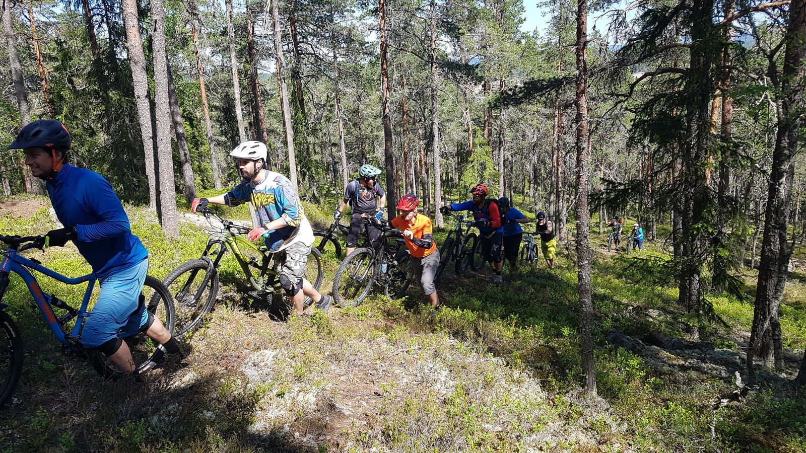 20180519_111800.jpg