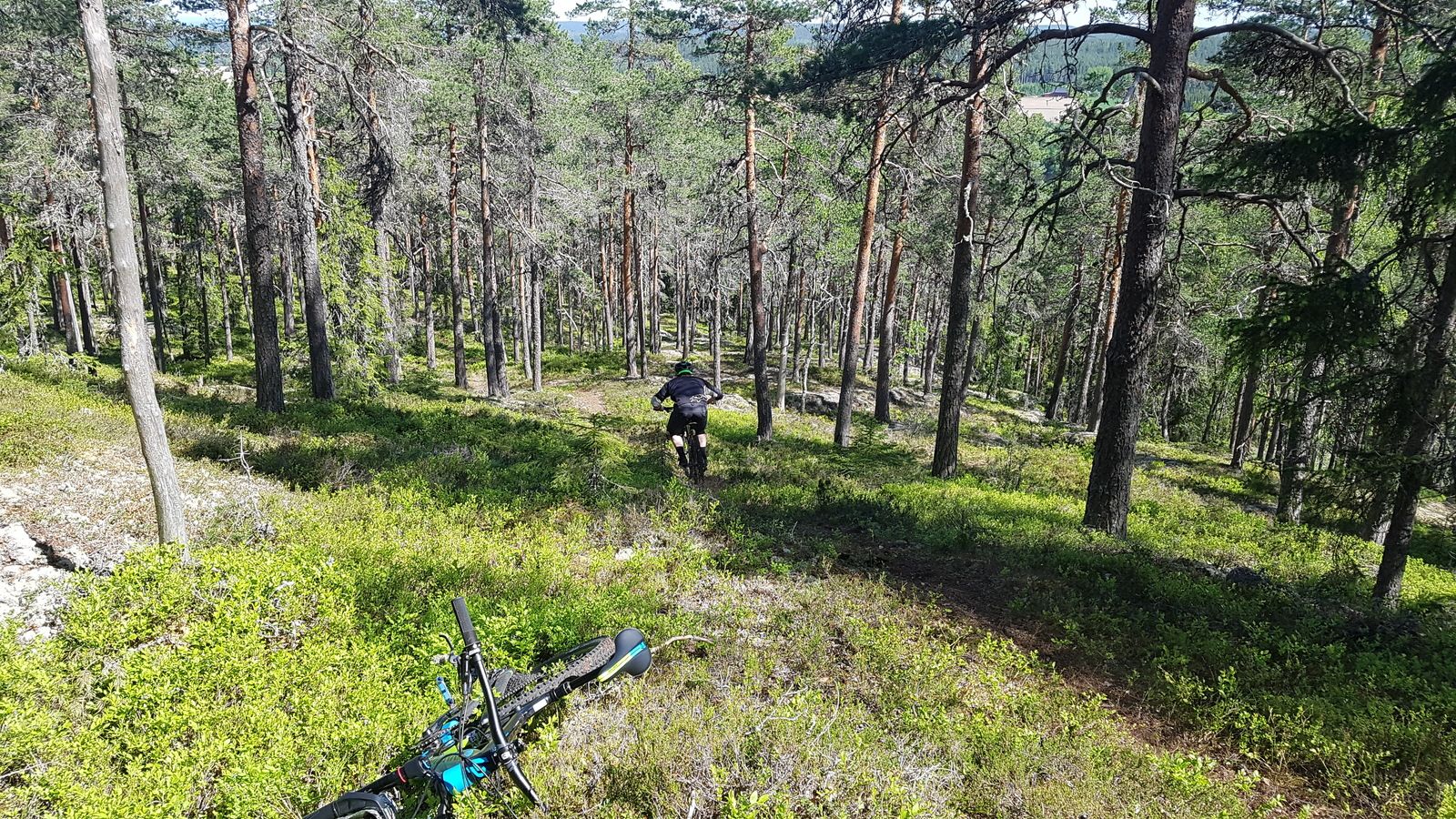 20180519_112921.jpg