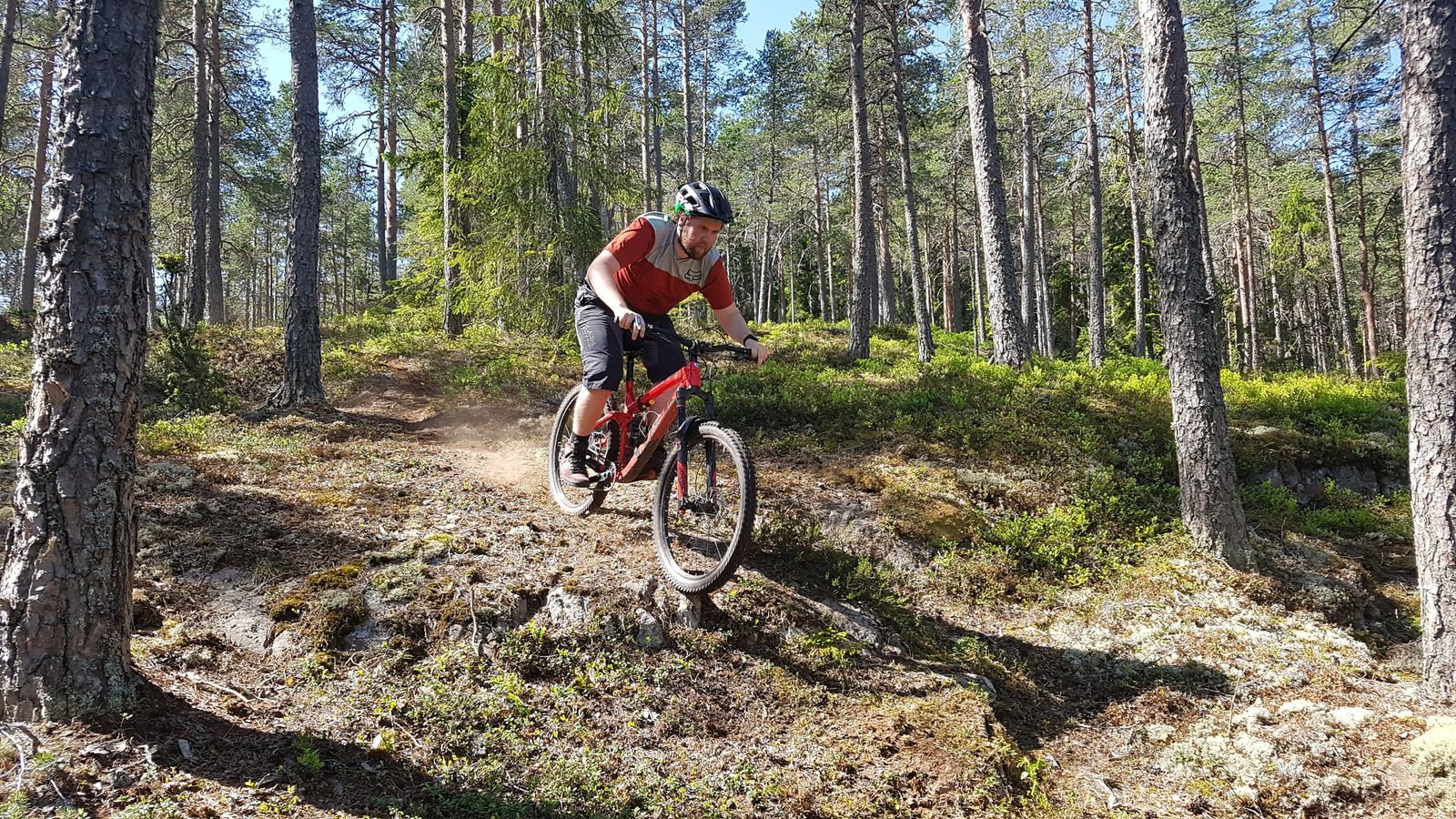 20180519_113216.jpg