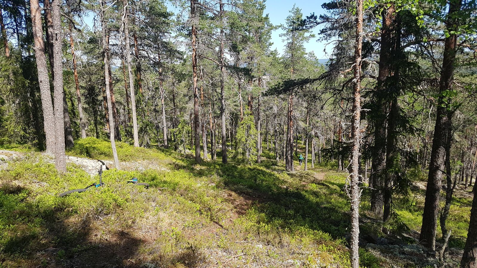 20180519_113258.jpg