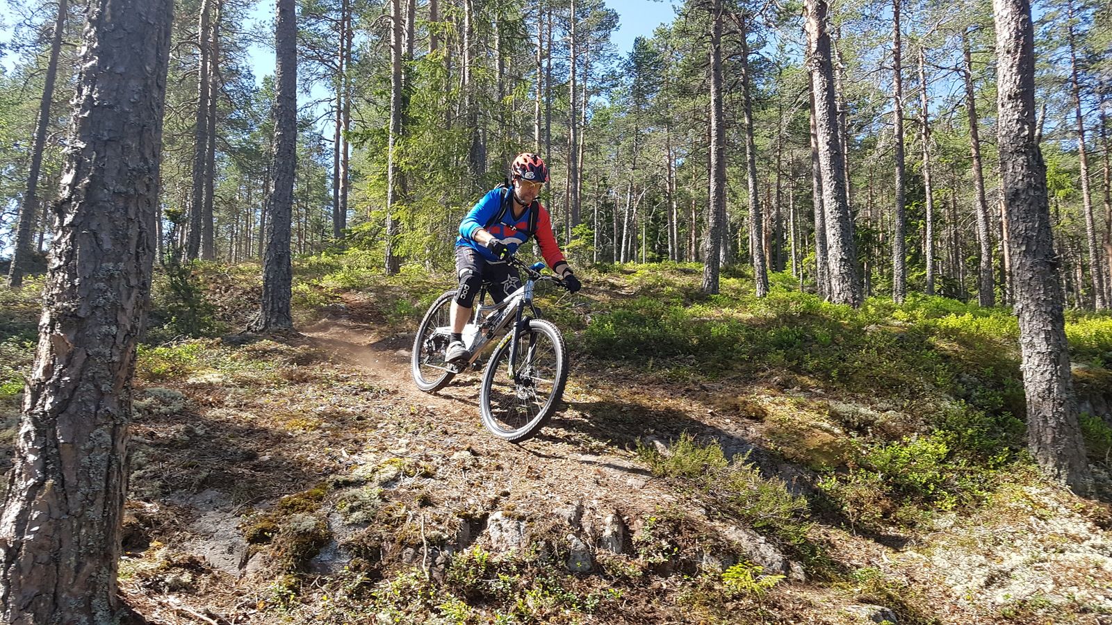20180519_113316.jpg