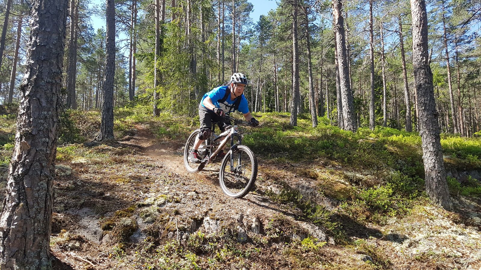 20180519_113347.jpg