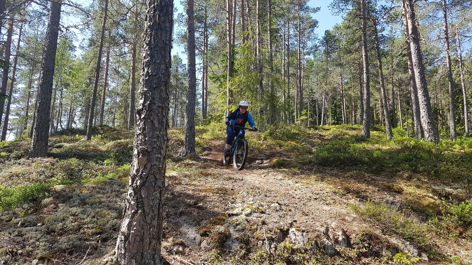 20180519_1134470.jpg