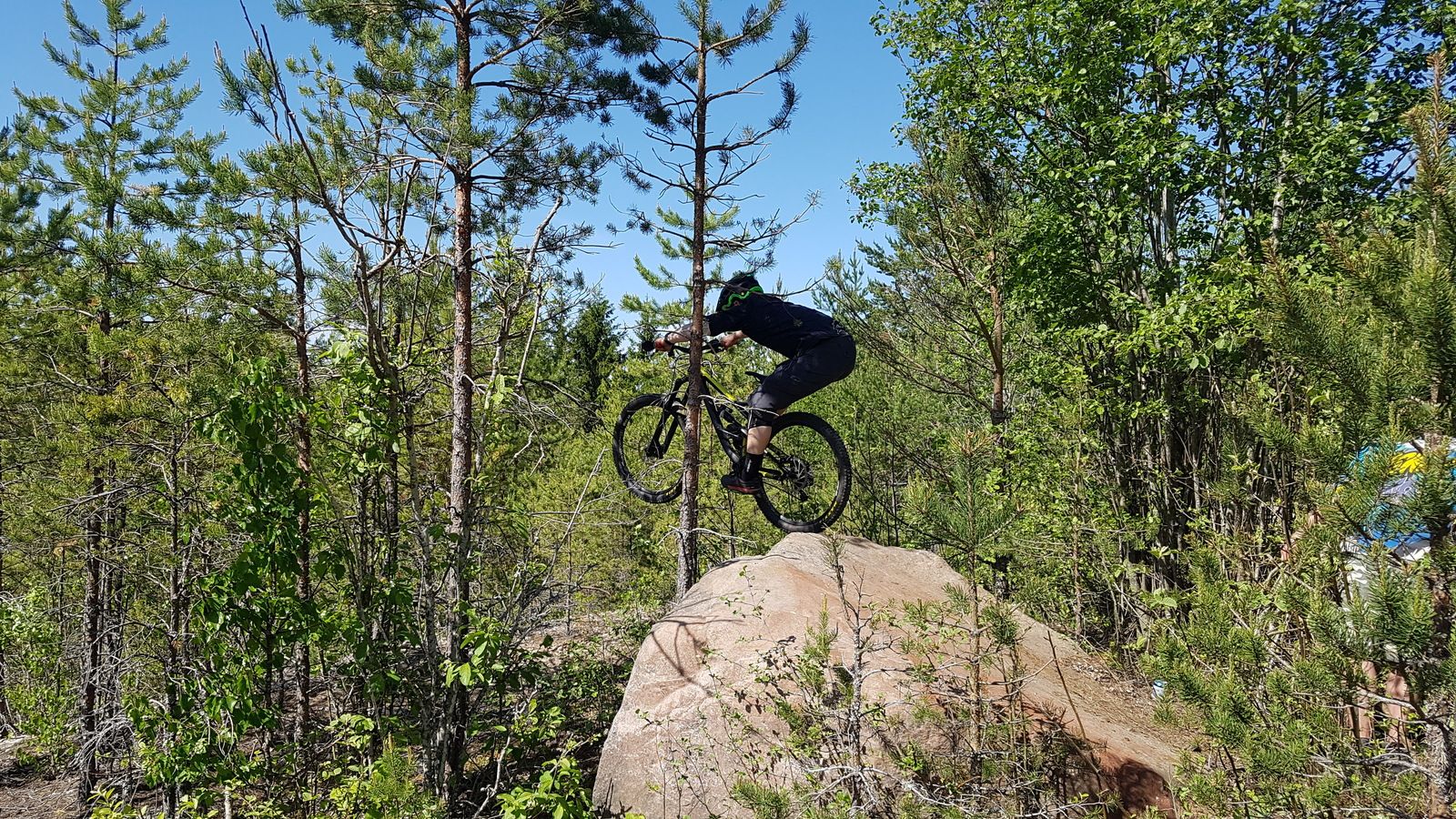 20180519_124209.jpg