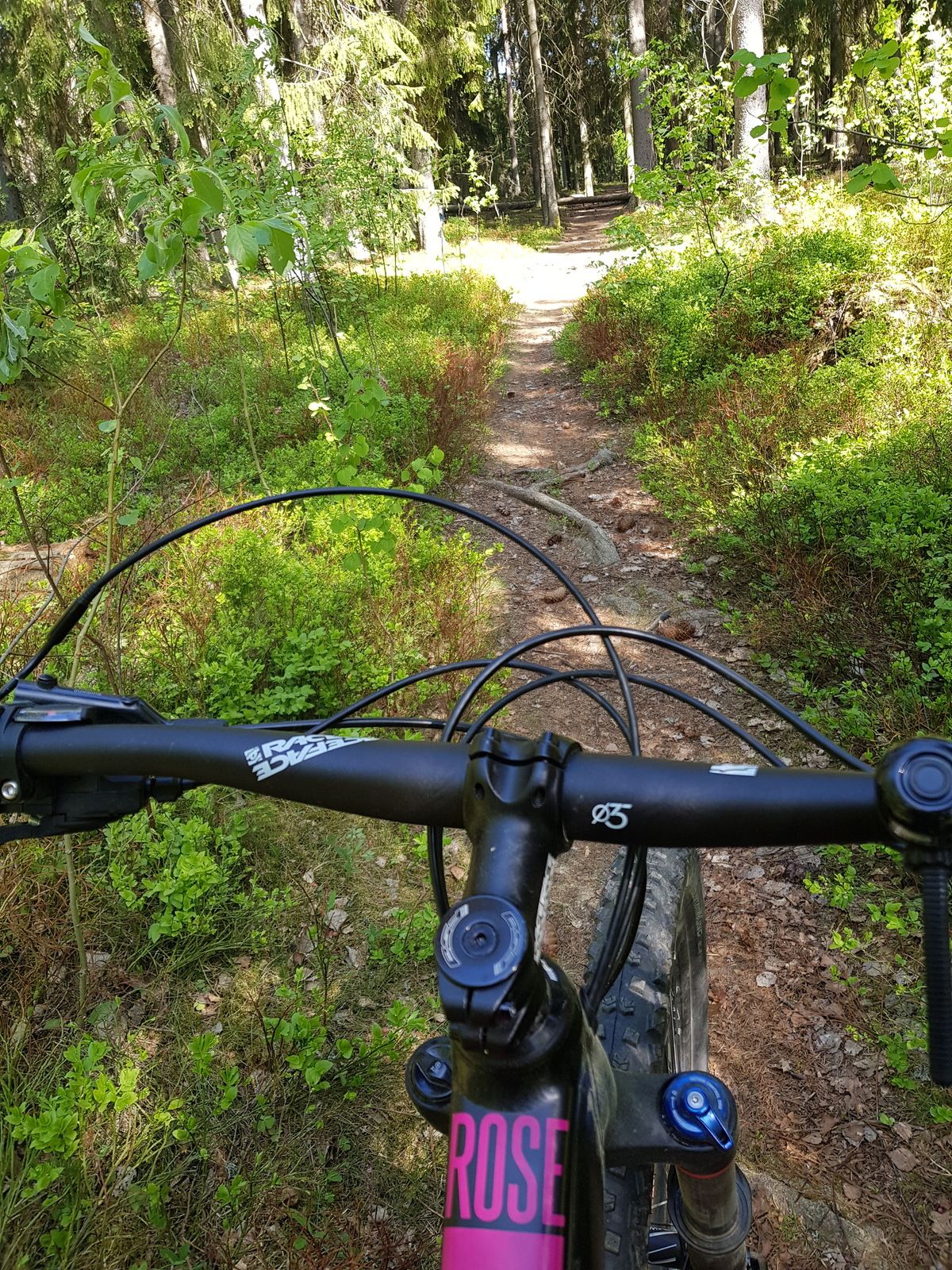 20180519_153714.jpg