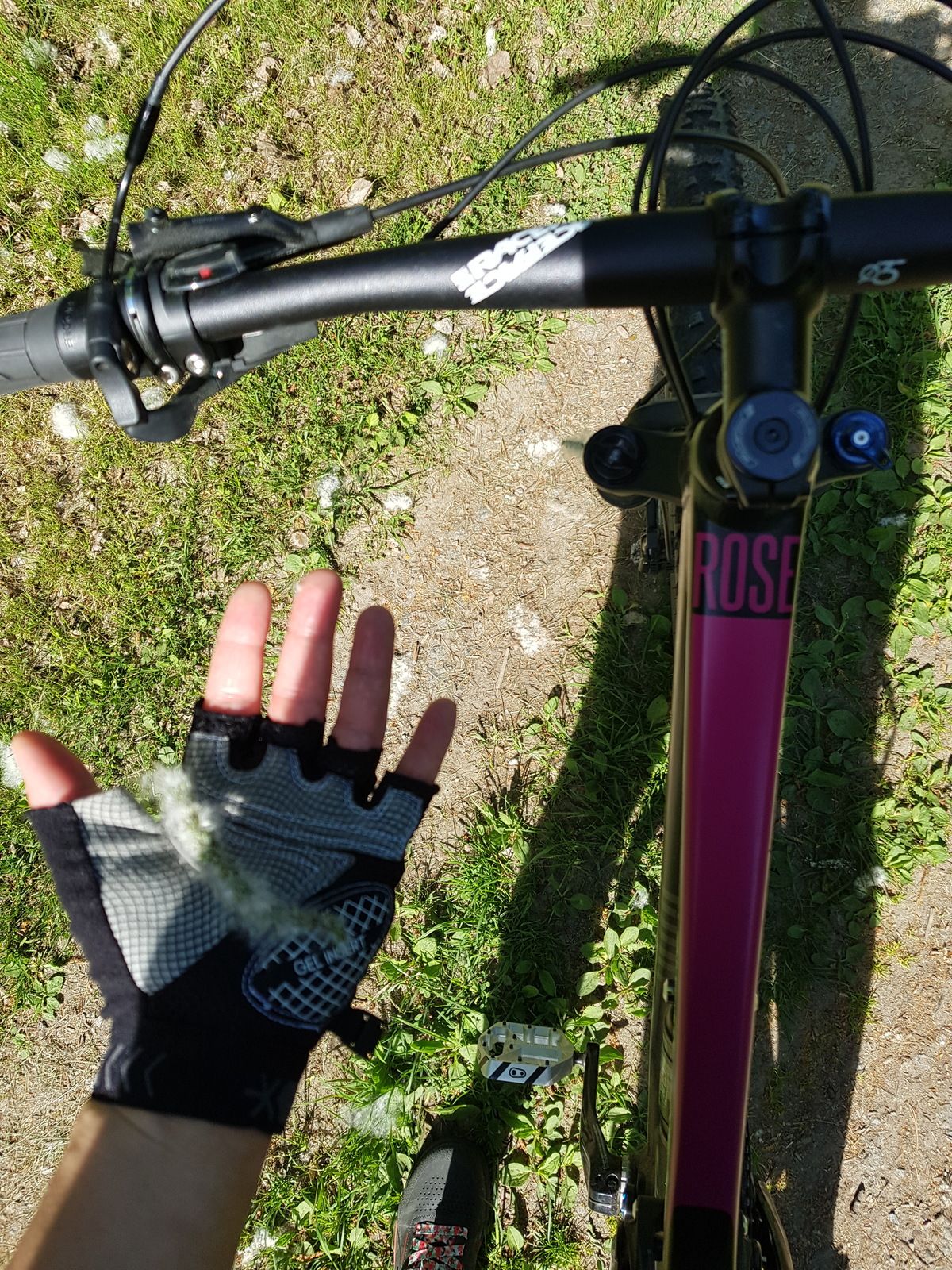 20180519_160029.jpg