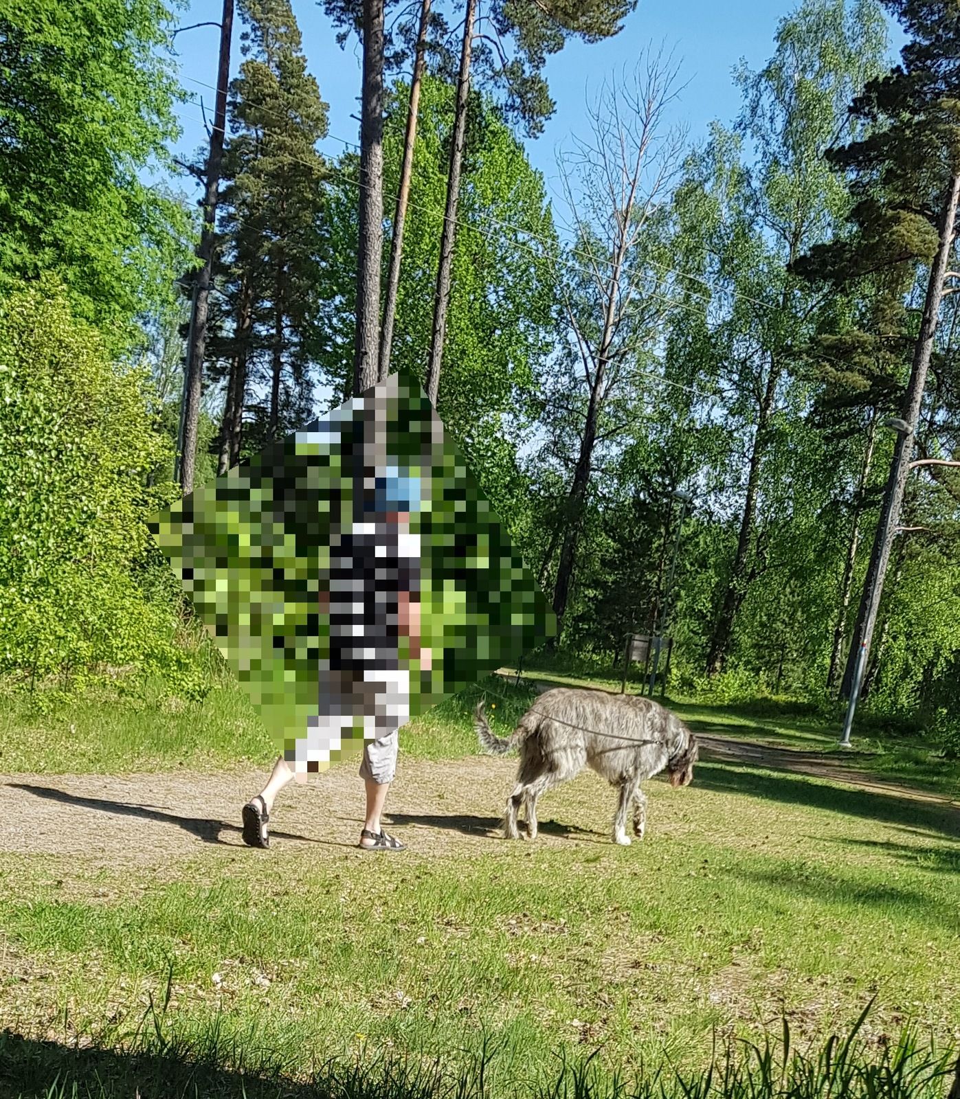 20180520_103255.jpg