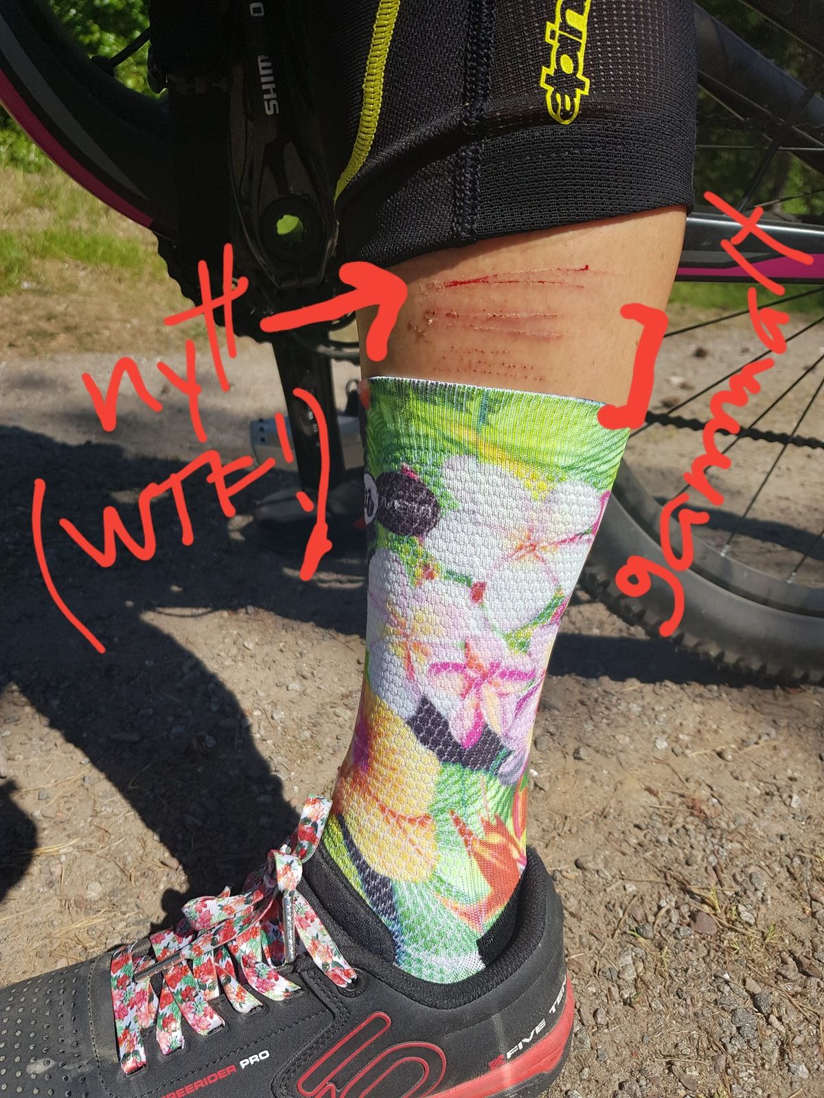 20180526_232043.jpg