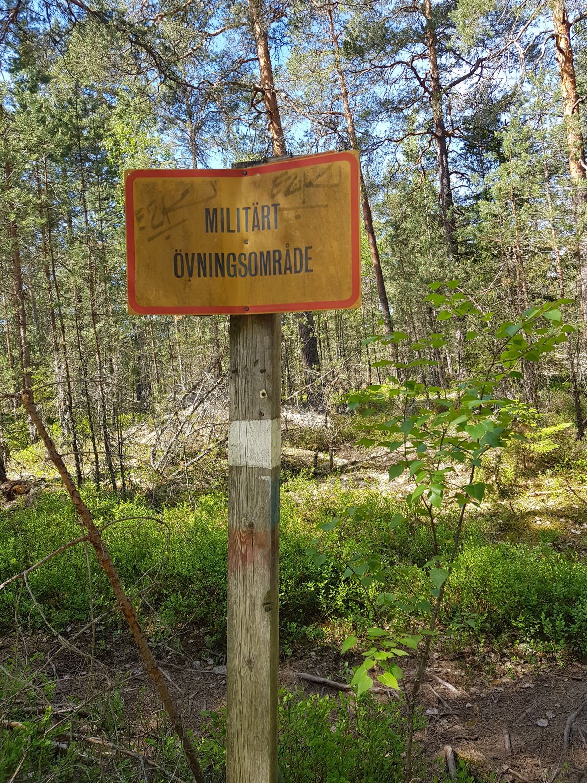 20180527_111428.jpg