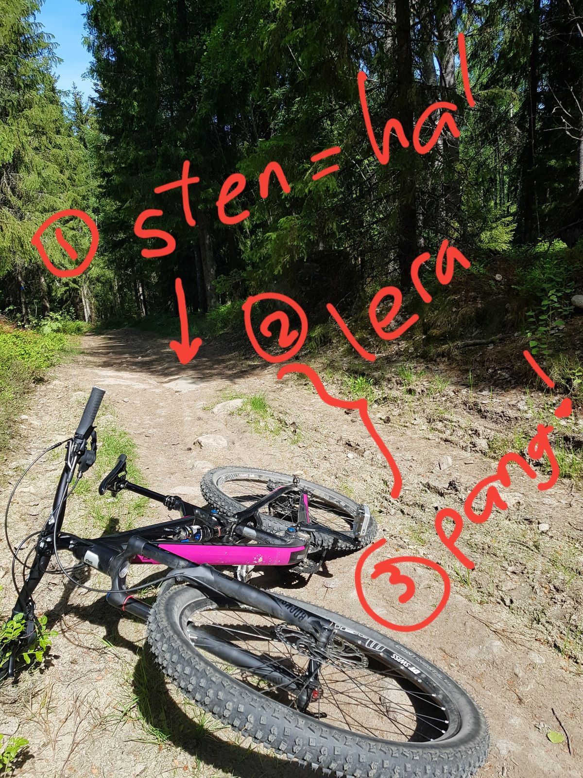 20180527_152516.jpg