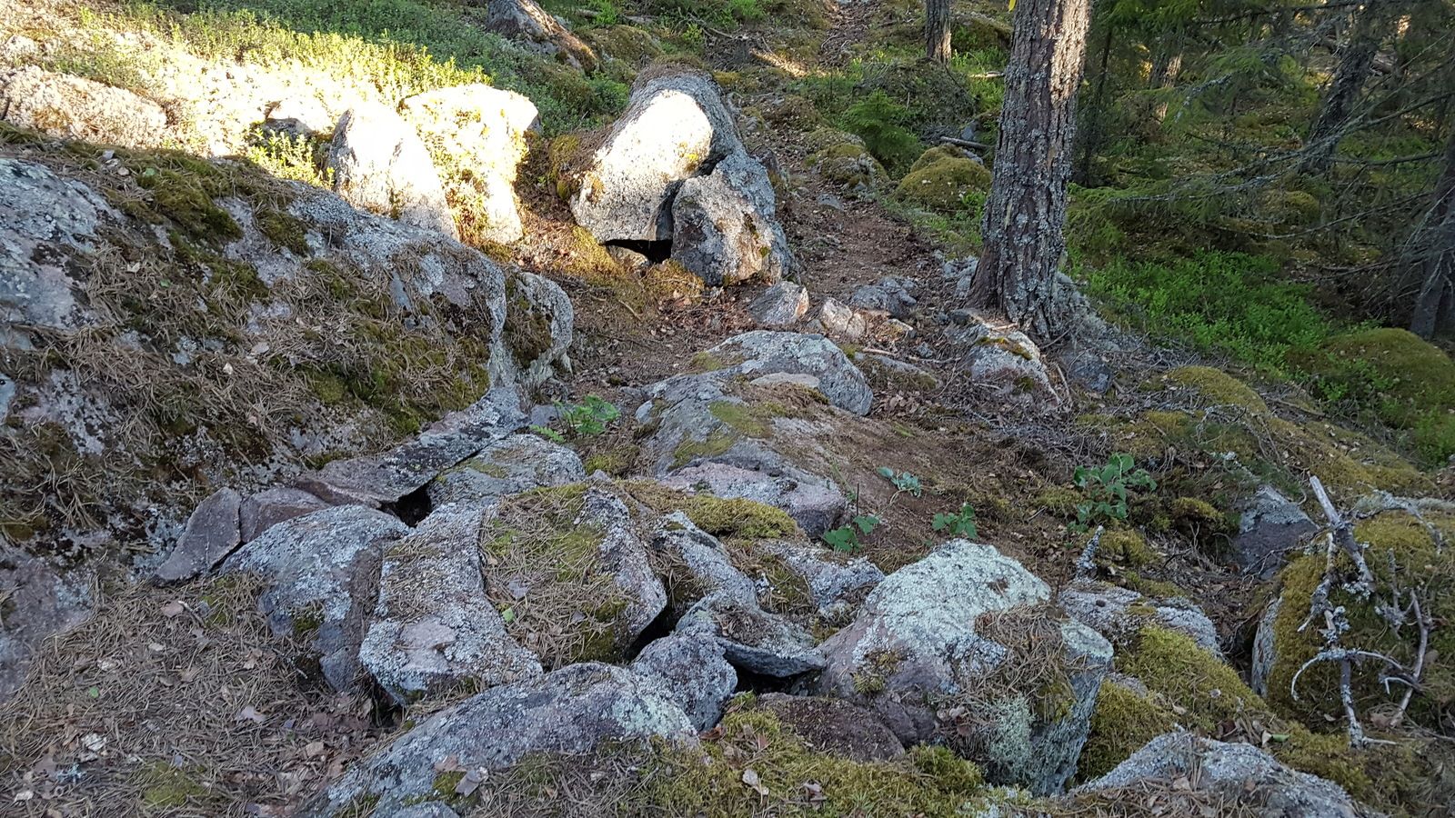 20180530_193540.jpg